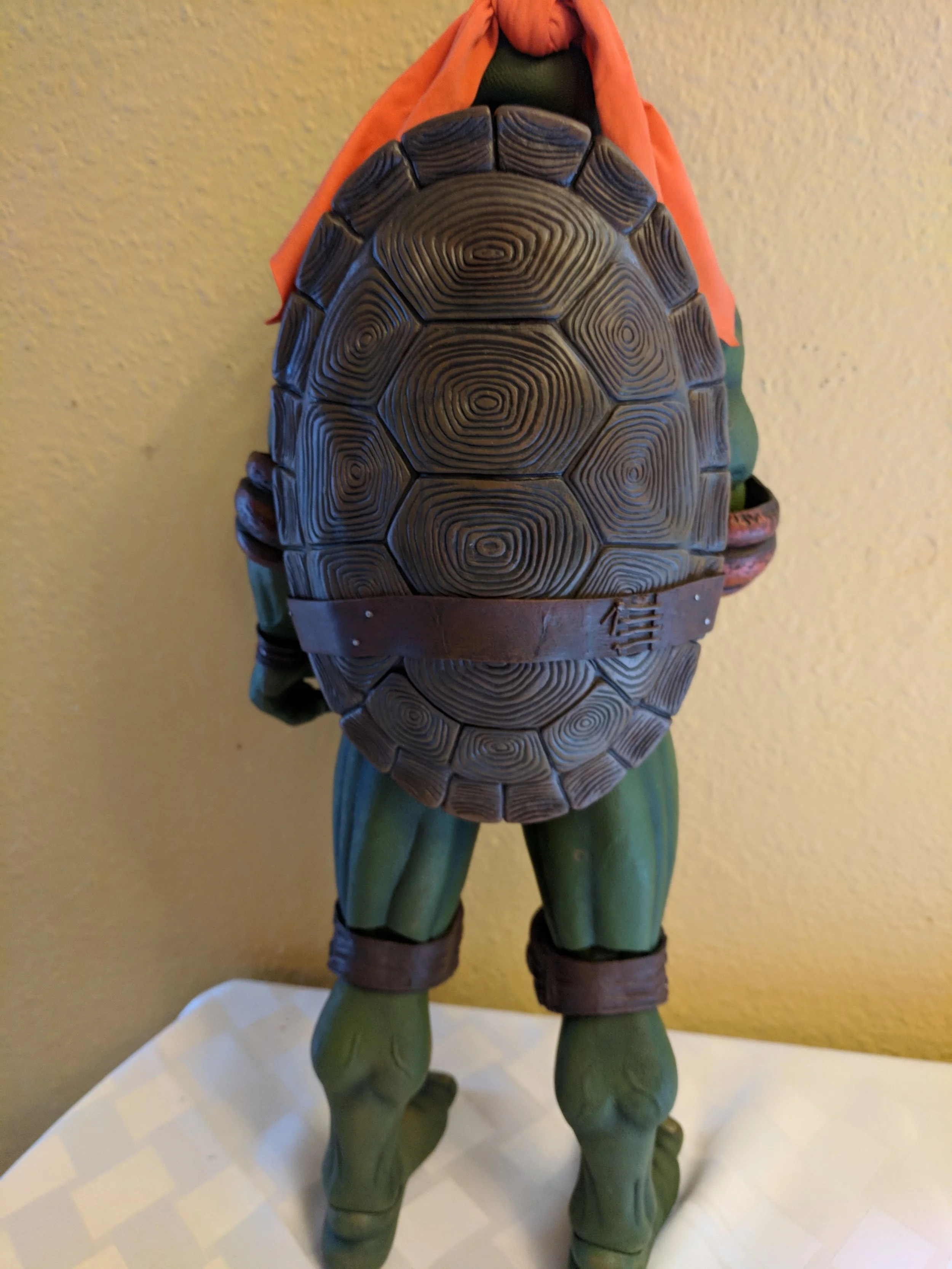 I can't believe how intricate the shell is