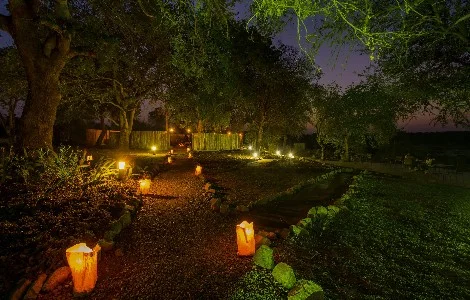 mjejane river lodge2.jpeg
