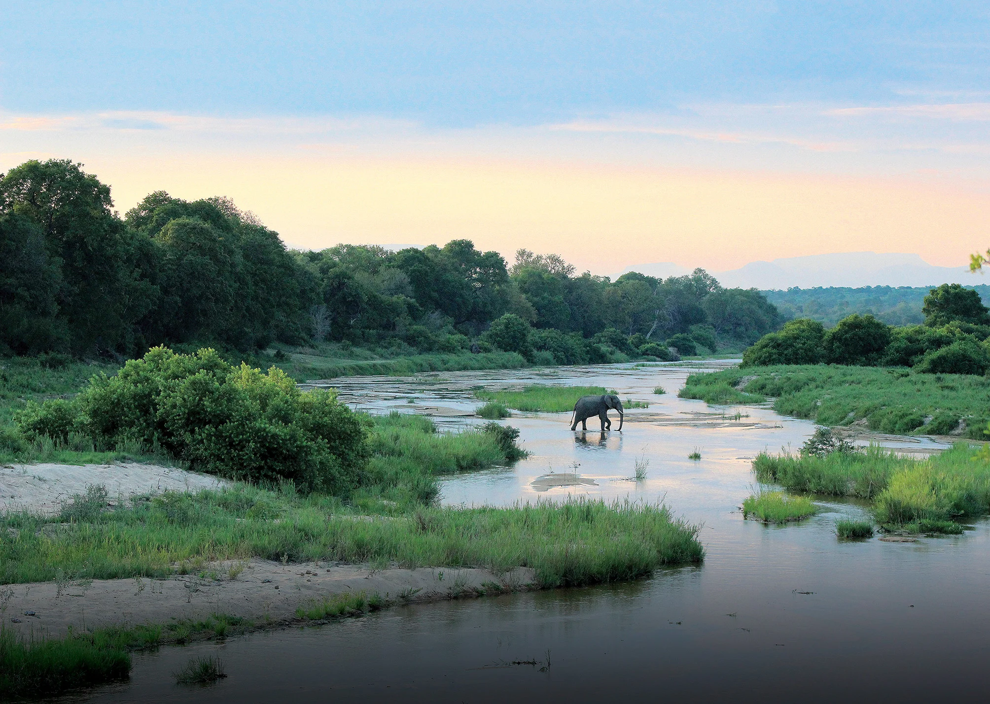 elephant-in-river-kiaraLEOPERD311.jpeg
