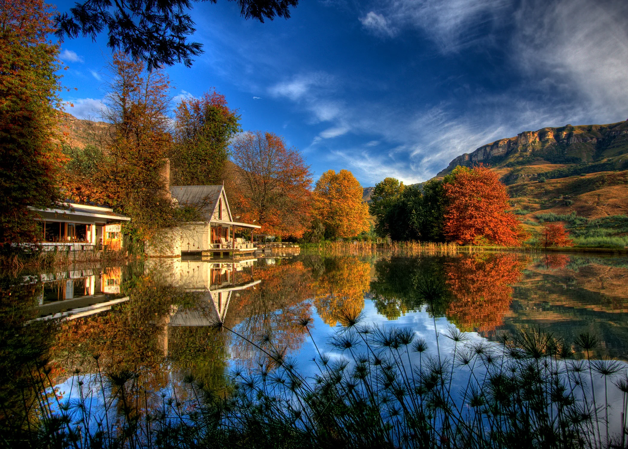 Autumn.jpg
