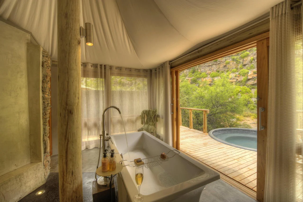sanbona_077__d321008c.jpg