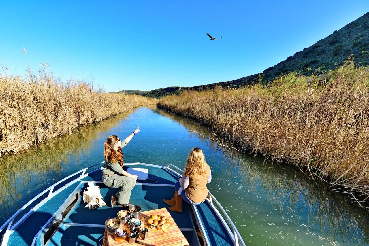 sanbona_peregrine_boat_experience_5.jpg