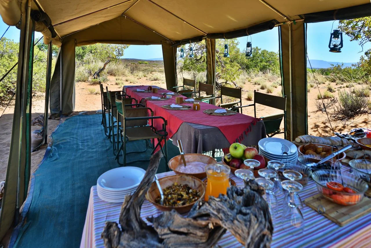 sanbona_explorer_2016_20.jpg