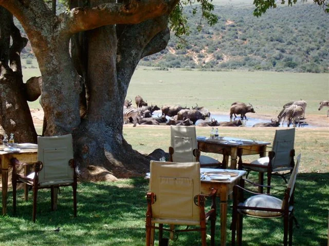 Gorah Outdoor Dining.jpg