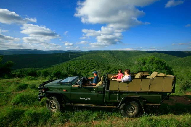 game_drive_1_resized.jpg
