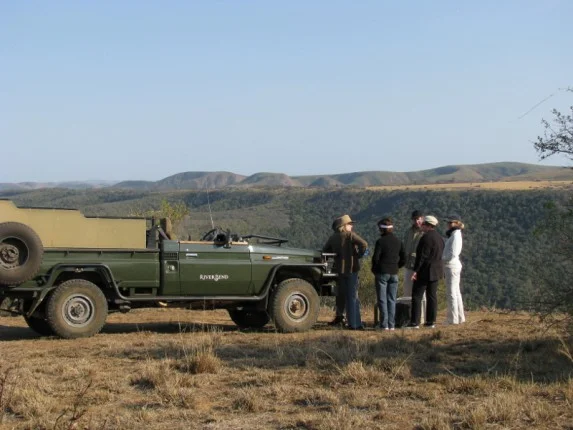 game_drive_picnic_800x600.jpg
