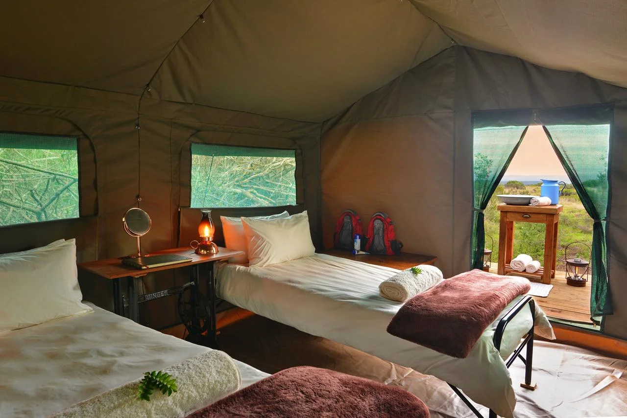 sgr_explorer_camp_2015_11.jpg