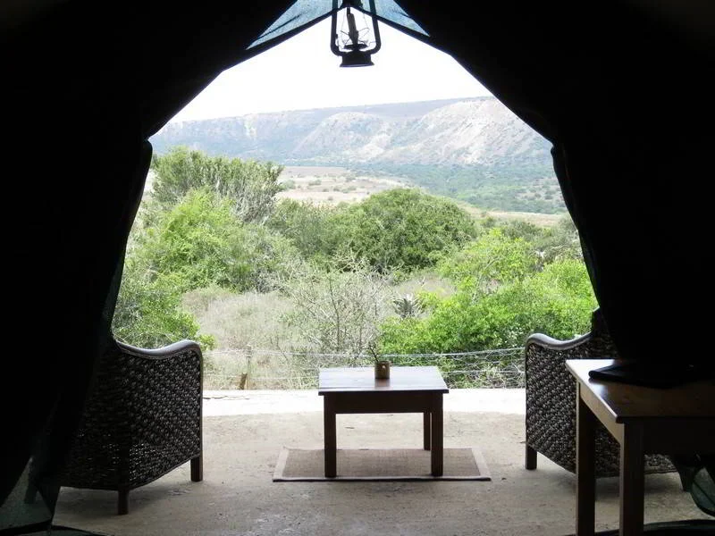 Woodbury-Tented-Camp-Amakhala-Game-Reserve-View-From-Tent.jpg
