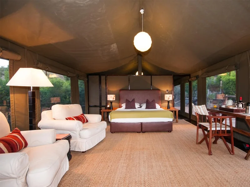 Eastern_Cape_Safari_greater_Addo_accommodation_Amakhala_Game_reserve_HillsNek_Safari_Camp_Room_Viewl-min.jpg