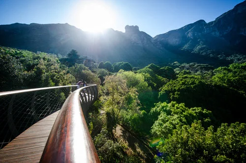 Kirstenbosch Gardens