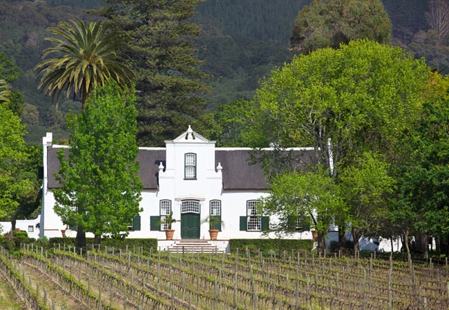klein constantia.jpeg