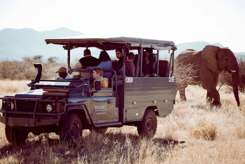 Game_Drives.jpeg
