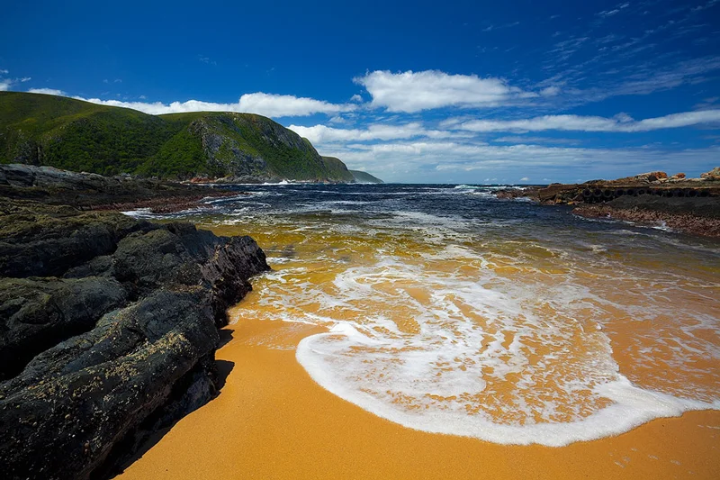 Garden route .jpeg