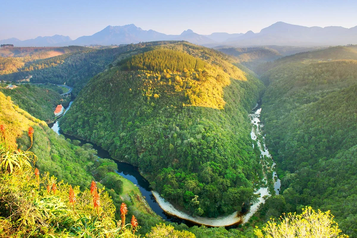 gardenroute2.jpg