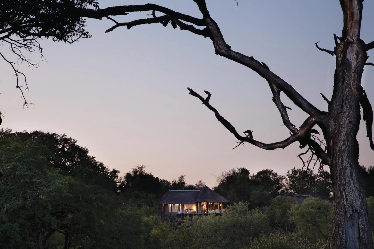 agence_de_voyage_et_safaris_en_afrique_capoupascap_cap_ou_pas_cap_afrique_du_sud_le_parc_national_kruger17lepard hills02020.jpg