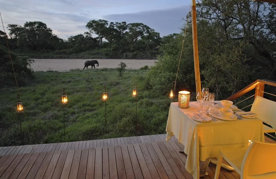 agence_de_voyage_vacance_afrique_safari_le_parc_national_kruger_afrique_du_sud_capoupascap_cap_ou_pas_cap_voyage_safari_tente_de_lux_ngala_tented_camp11.jpg