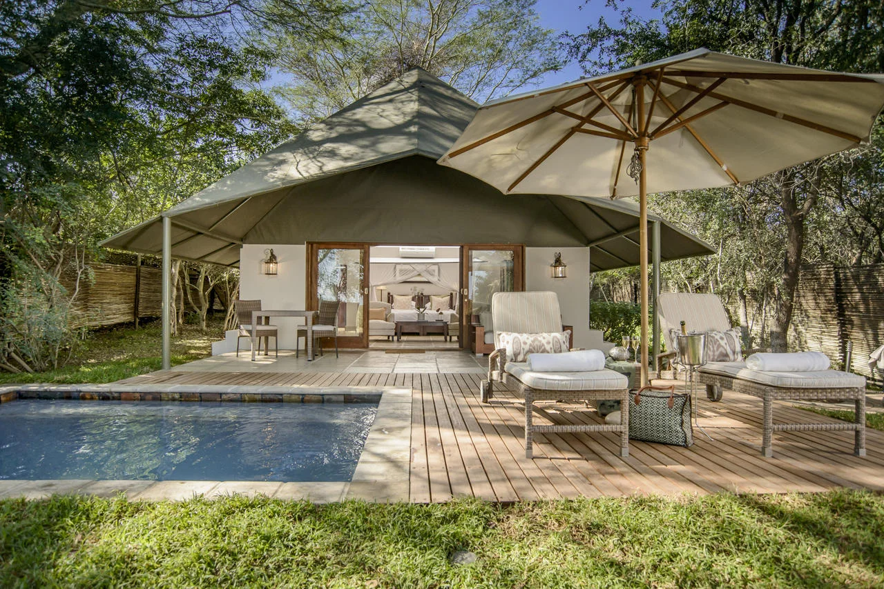 agence_de_voyage_vacance_afrique_safari_le_parc_national_kruger_afrique_du_sud_capoupascap_cap_ou_pas_cap_voyage_safari_tente_de_lux_Savanna_private_game_reserve01.jpg