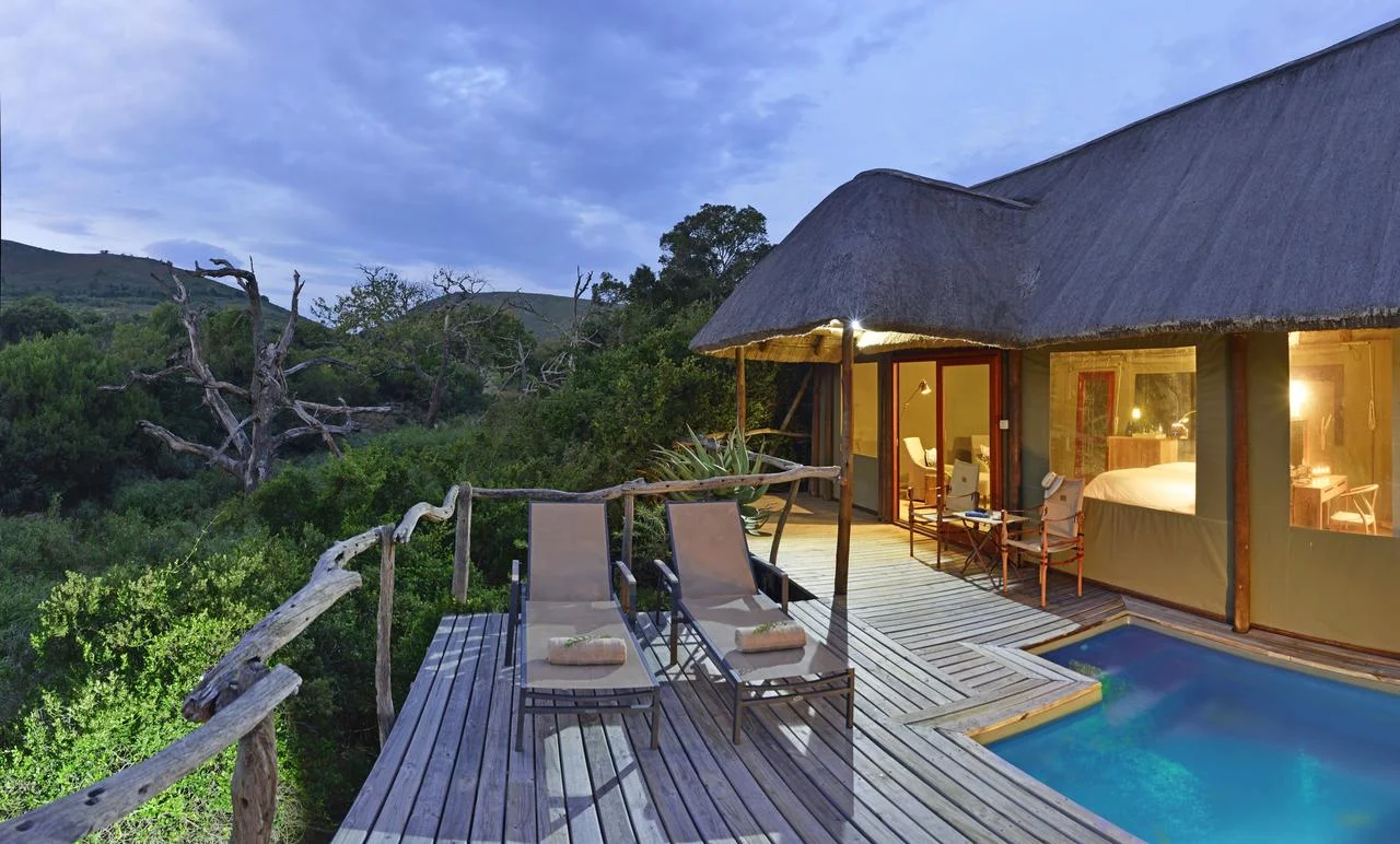 agence_de_voyage_vacance_afrique_safari_le_parc_national_kruger_afrique_du_sud_capoupascap_cap_ou_pas_cap_voyage_safari_tente_de_lux_Sanbona_Bayethe_Lodge_04.jpg