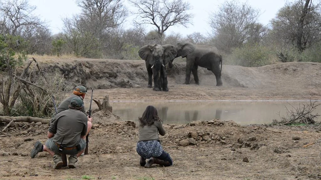 agence_de_voyage_et_safaris_en_afrique_capoupascap_cap_ou_pas_cap_afrique_du_sud_le_parc_national_kruger_africa_on_foot12.jpg