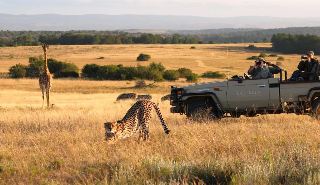 agence_de_voyage_vacance_afrique_safari_le_parc_national_kruger_afrique_du_sud_capoupascap_cap_ou_pas_cap_voyage_safari_tente_de_lux_la_route_des_jardins_lalibela_game_reserve34.jpg