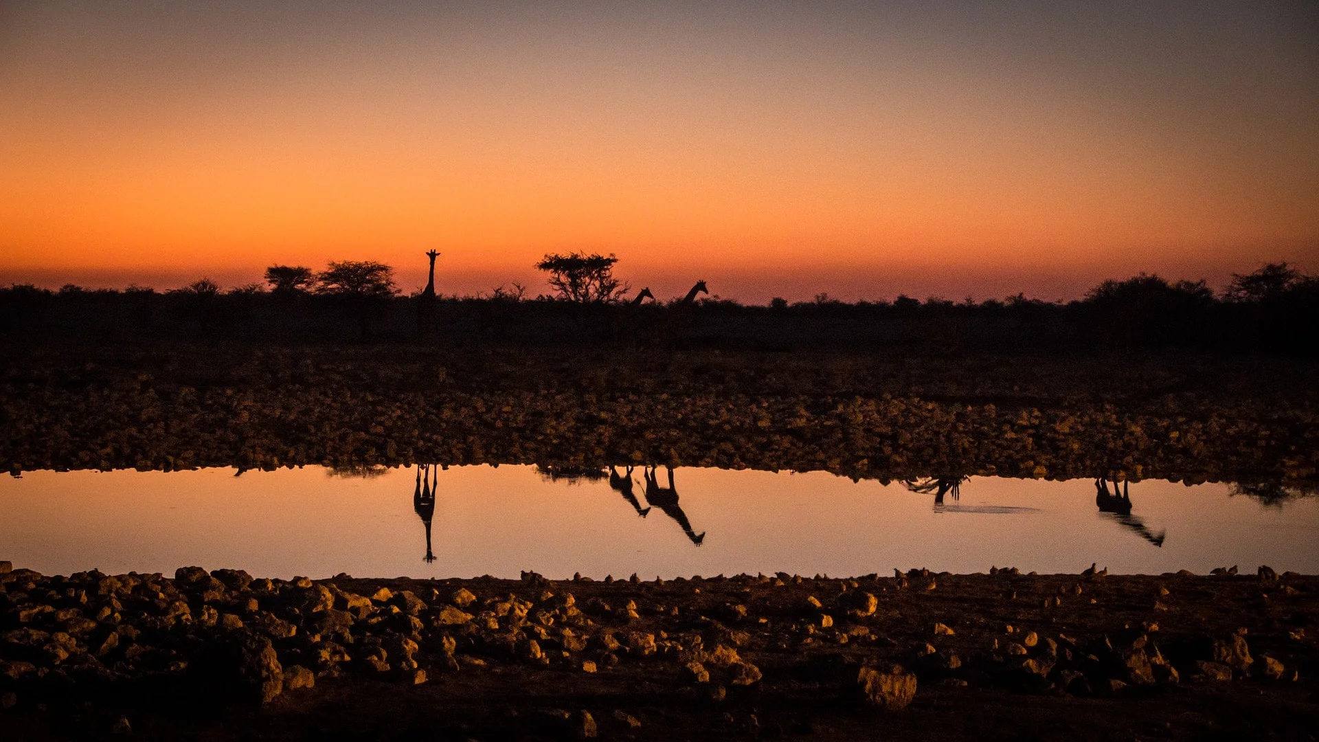 namibia-2949409_1920-min.jpg