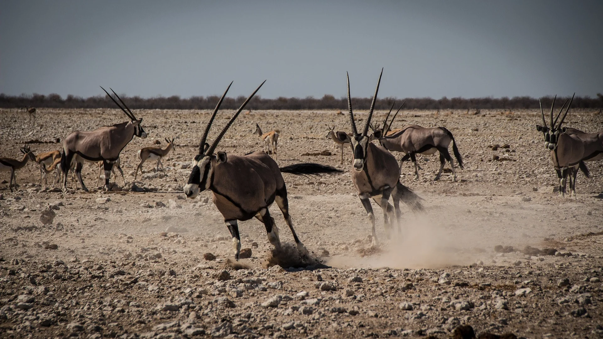 namibia-2939055_1920-min.jpg