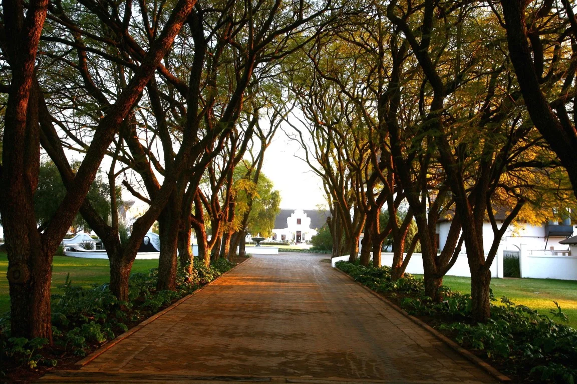 Kievits-Kroon-Country-Estate-high-res-Copy-Medium.jpg