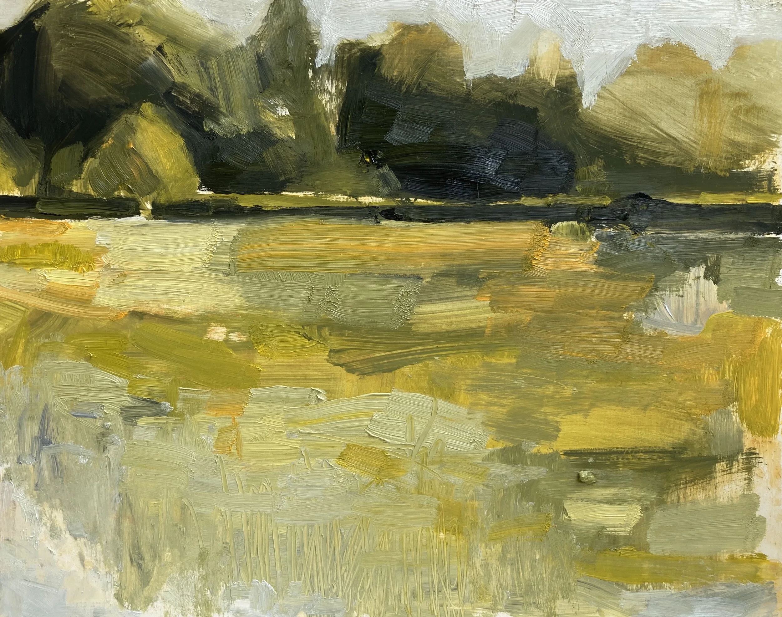   Early morning on Barnes Common   Oil on gesso board, 30 x 40 cms - SOLD    