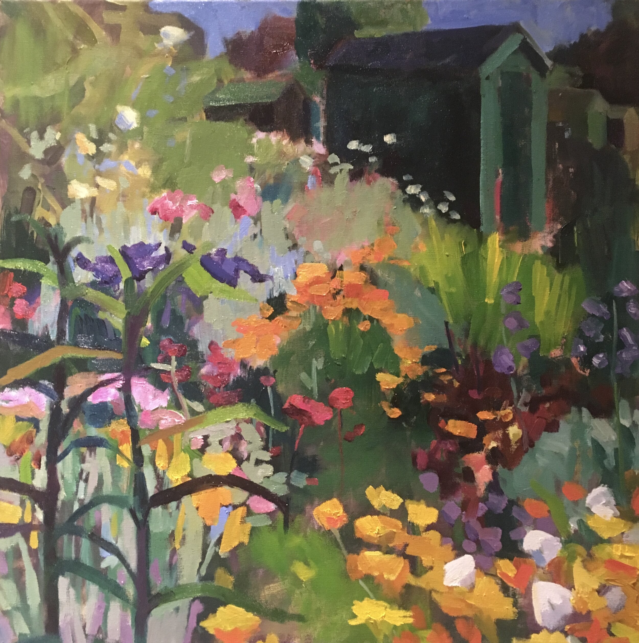   Flowers at the Allotments   Oil on canvas, 60 x 60 cms - SOLD    