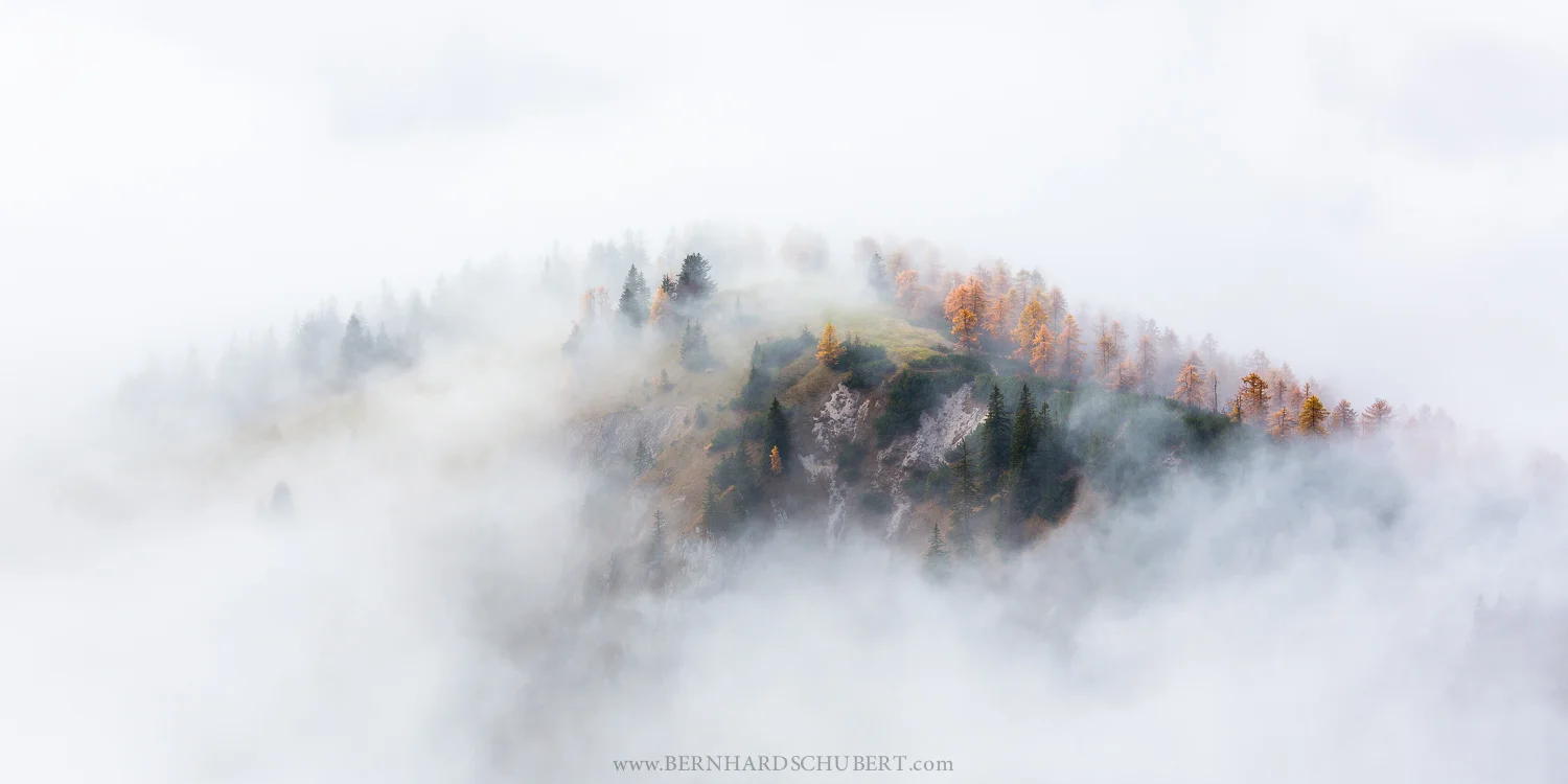 Foggy Landscape