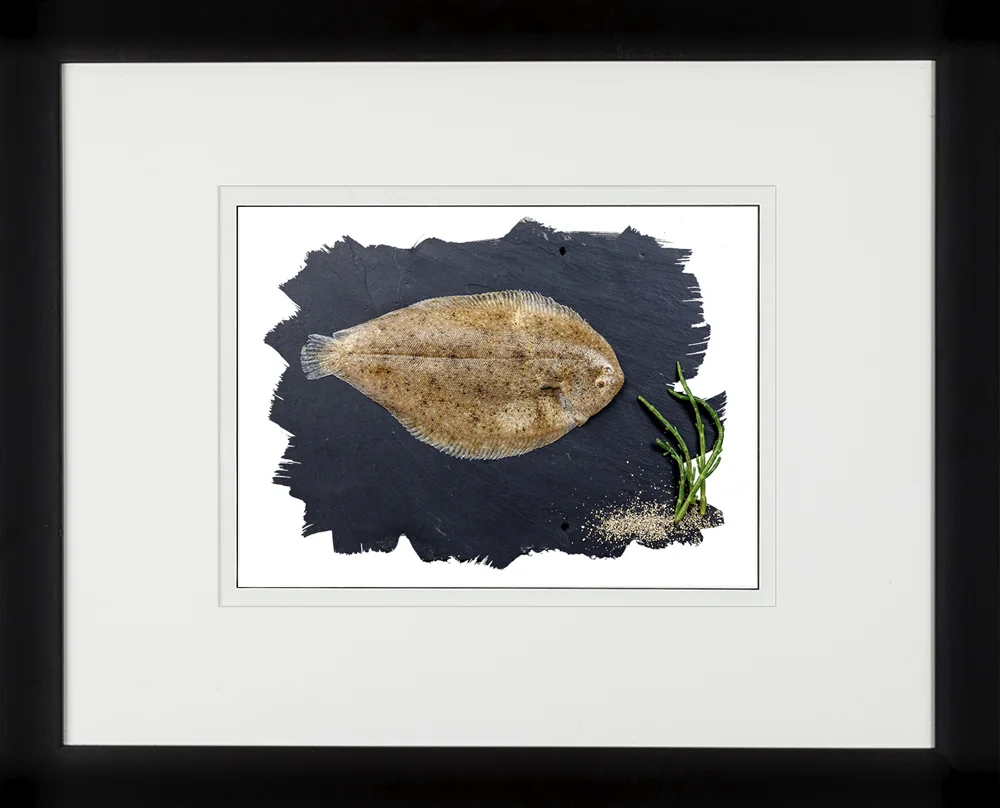 101B Sand Sole