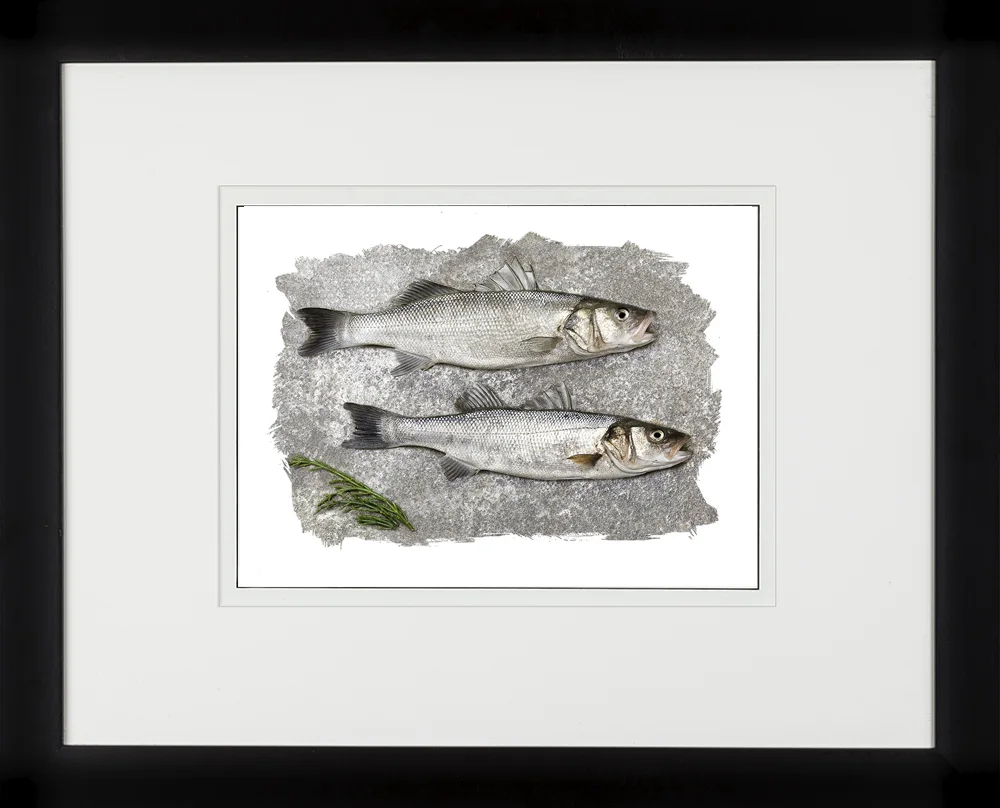 102A Framed Sea Bass Du