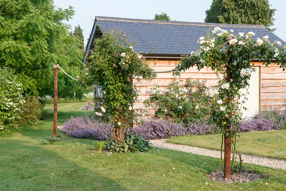 A garden scene with two flowering trees, a small gravel path, and a house with wooden siding and a sloped roof in the background.