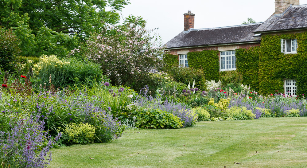 A lush garden with a variety of colourful flowers and bushes, adjacent to an ivy-covered house with white-framed windows.