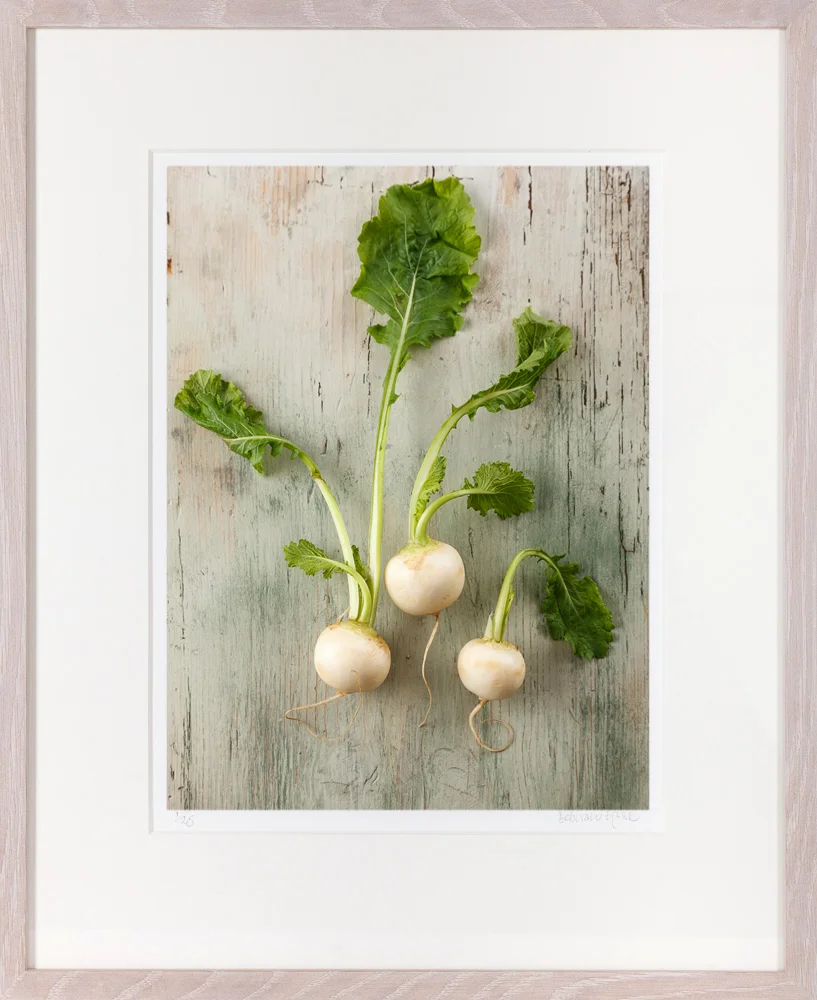 TURNIP-27-FR-LO.jpg