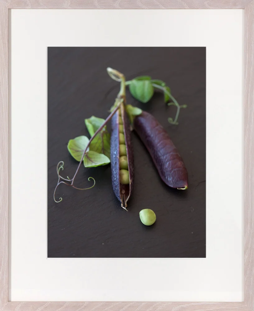 PURPLE PODDED PEAS