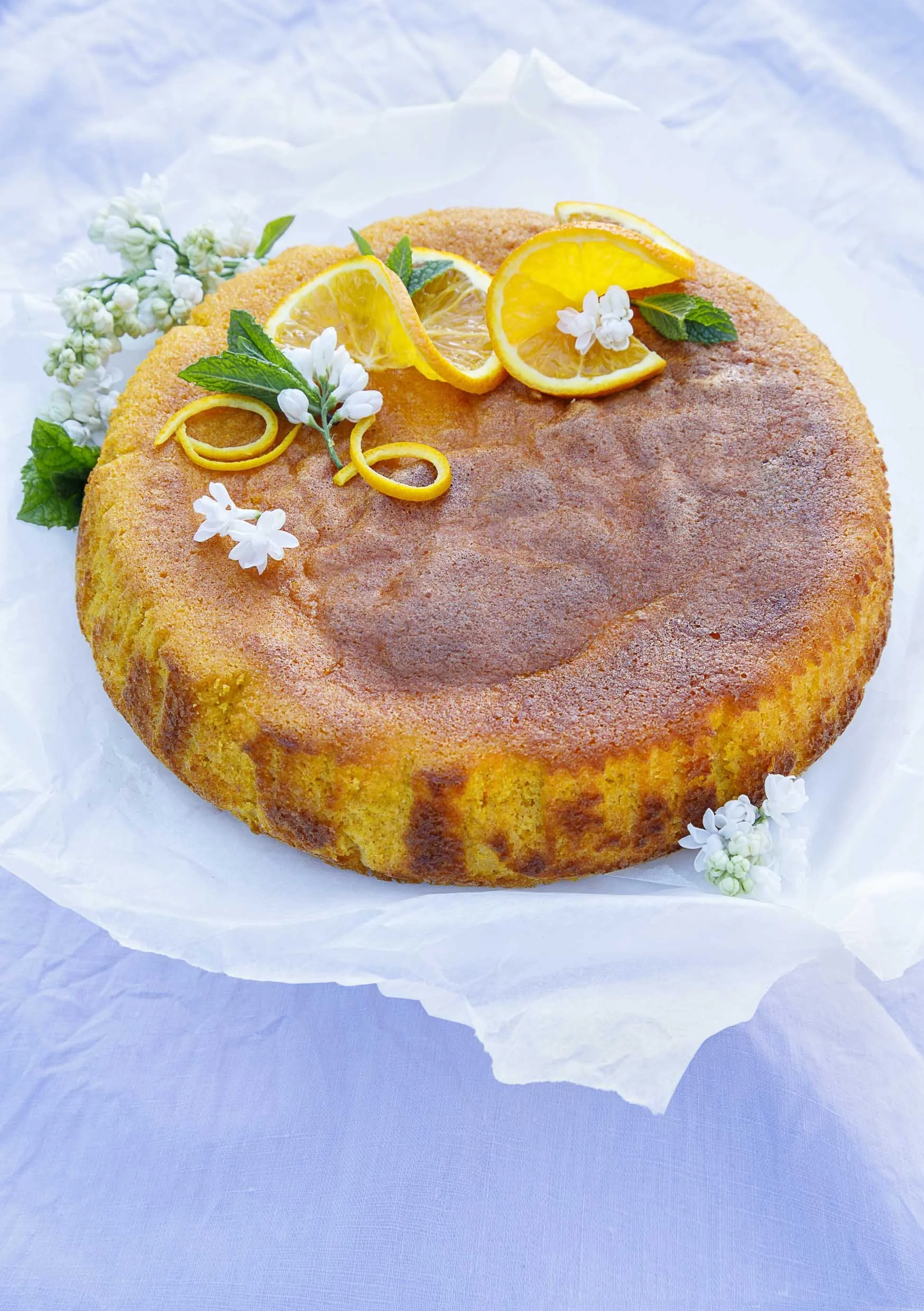 I WEBSTER Clementine and almond-11-v2_W.jpg