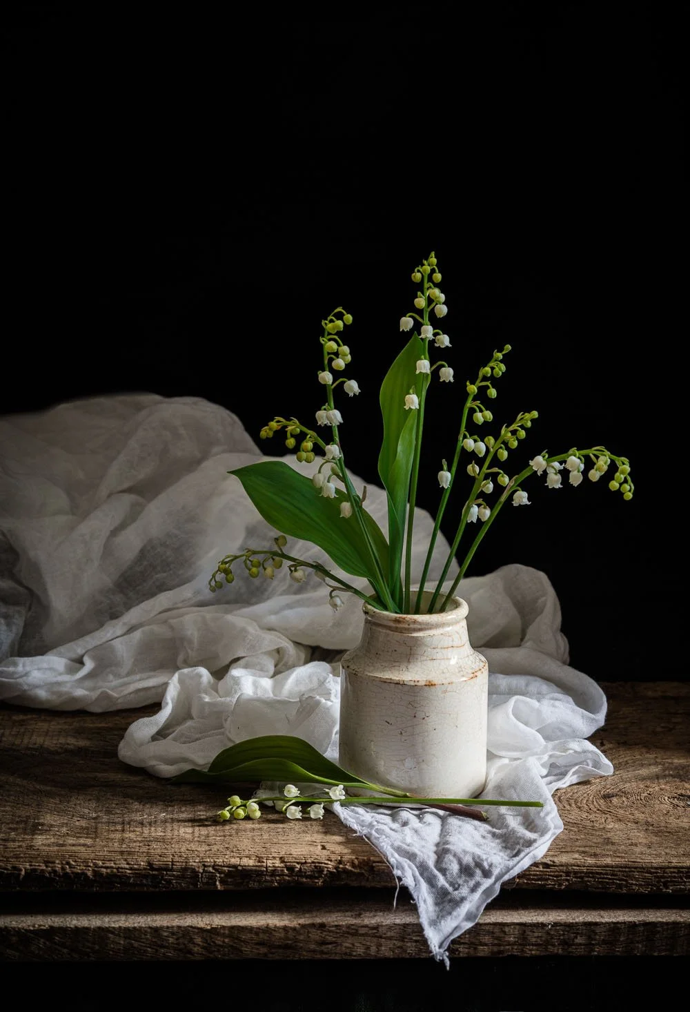 Lily of the Valley