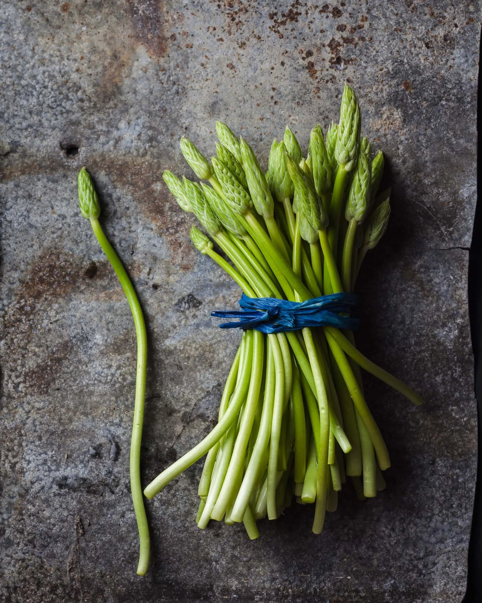 WILD-ASPARAGUS-1W.jpg