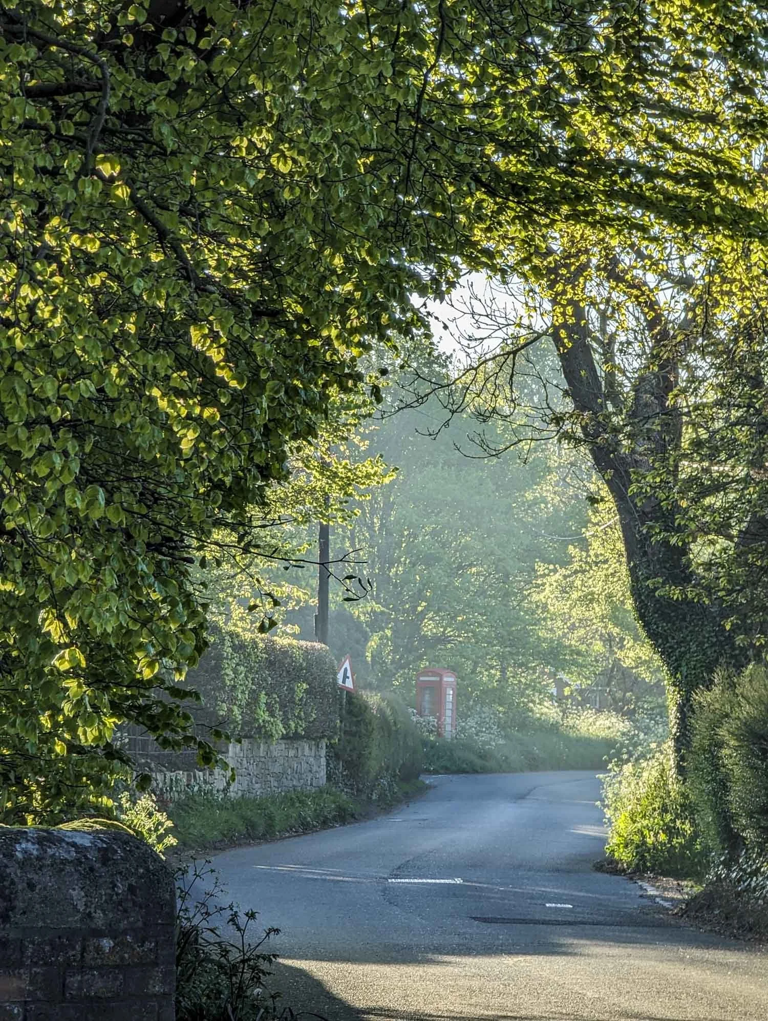 A winding country road surrounded by lush green trees and foliage, with sunlight filtering through the leaves and a red telephone booth visible in the background.