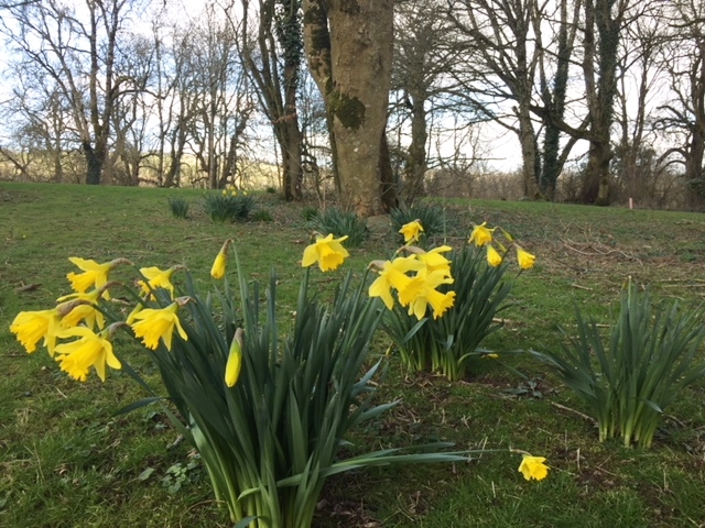 Winter is gone and Spring is Come