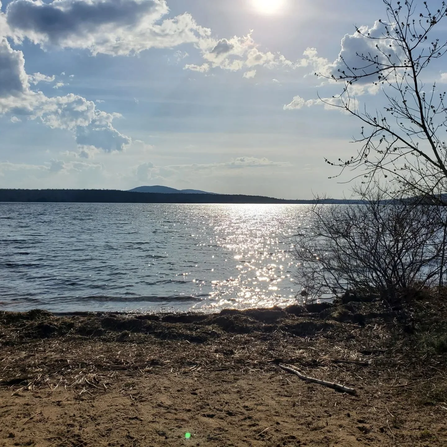 Tupper Lake Tinman