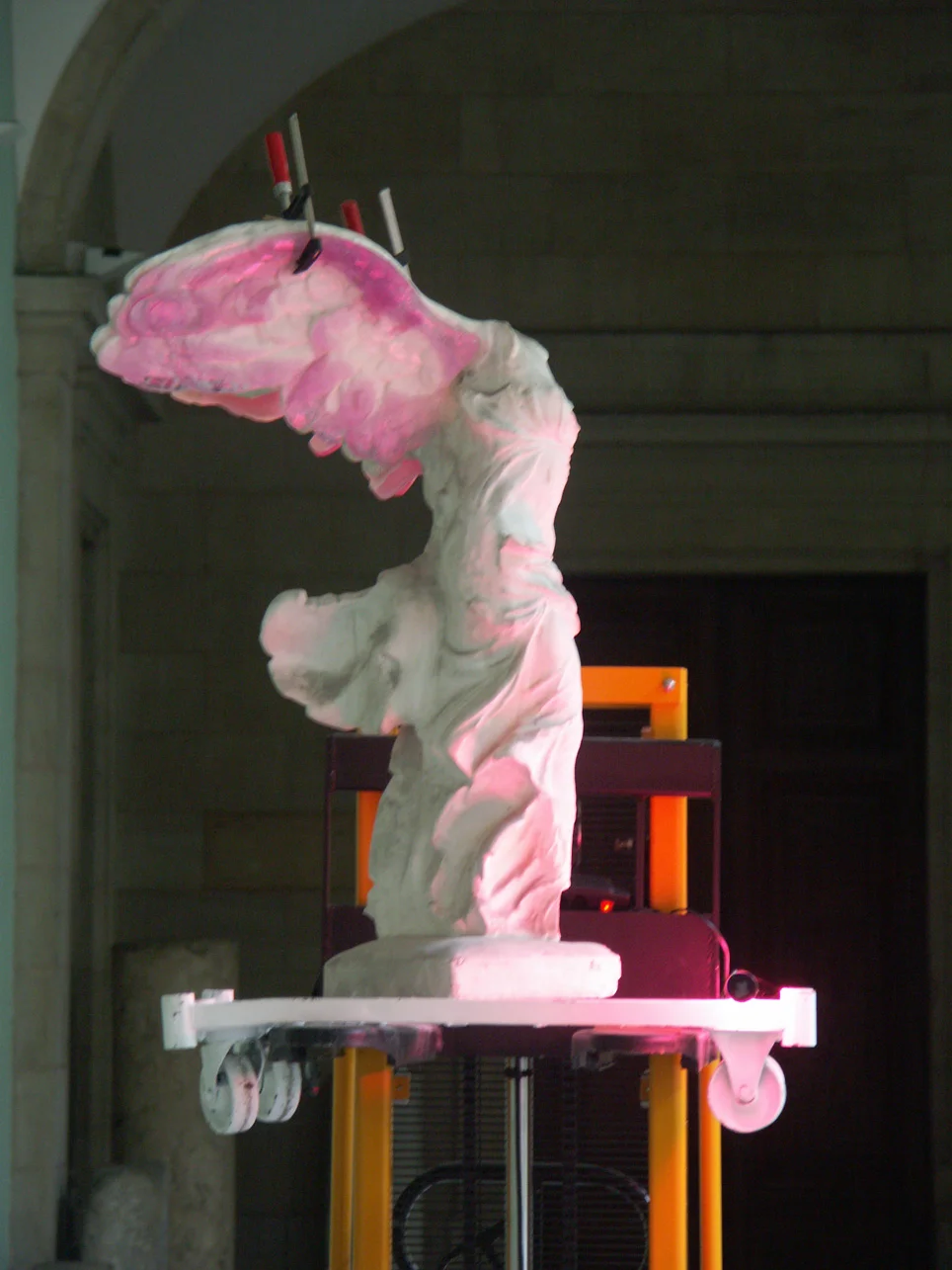 xénotransplantation 3.jpg