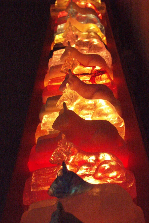 bélier artbio 72.jpg