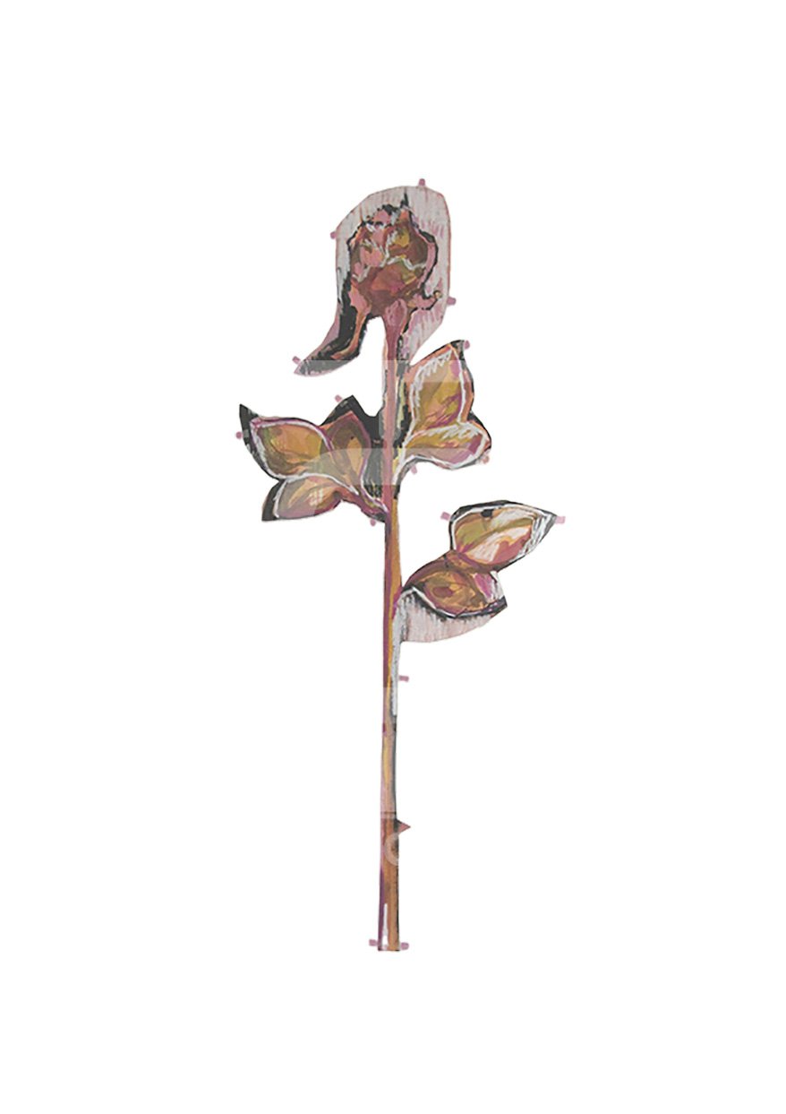 water rose rose vendue 02.jpg