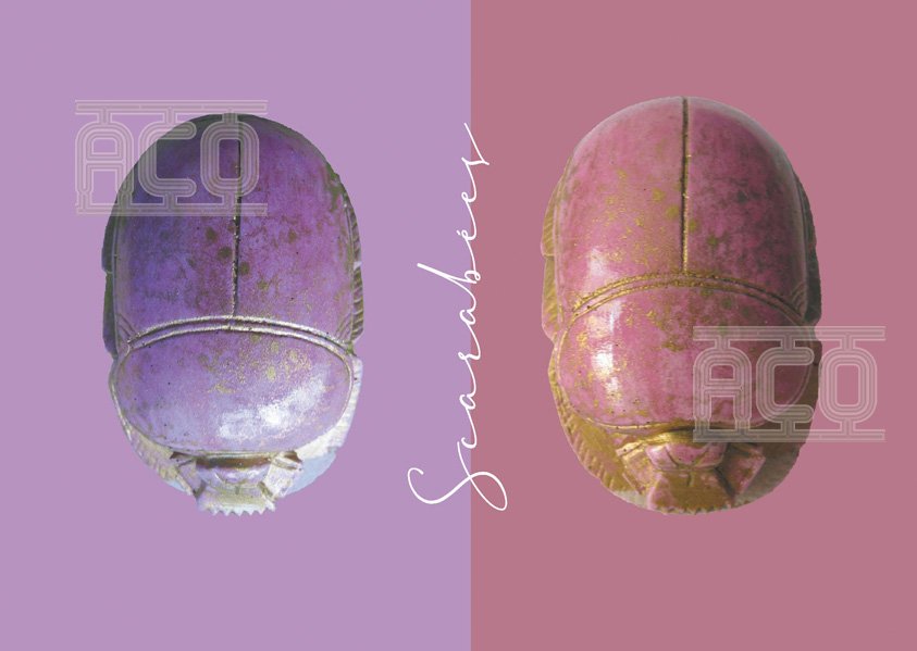 Scarabées moulés en plâtre vernis et détournés: CHF 200.-/la pièce