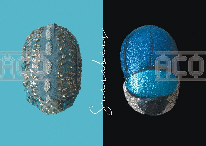 Scarabées en plâtre détournés et vernis: CHF 200.-/la pièce