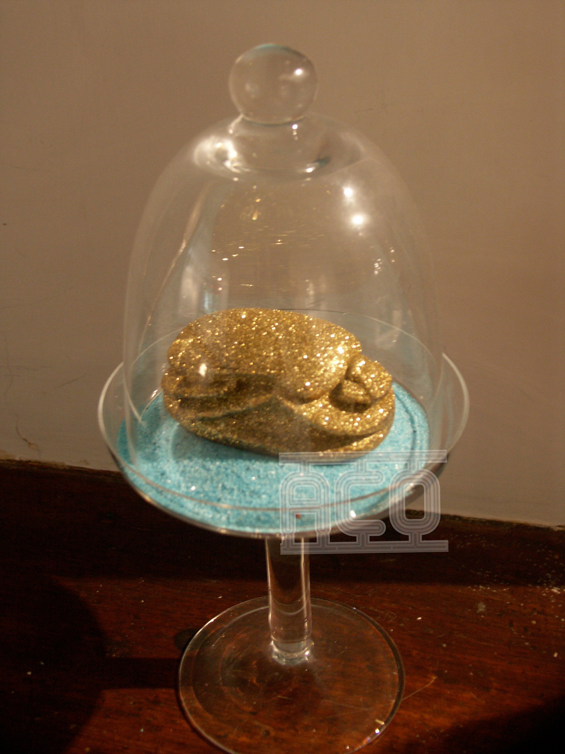 fil scarabée d'or.jpg