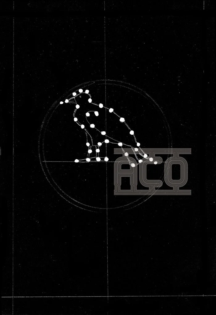 e moineaue-cosmique07.jpg