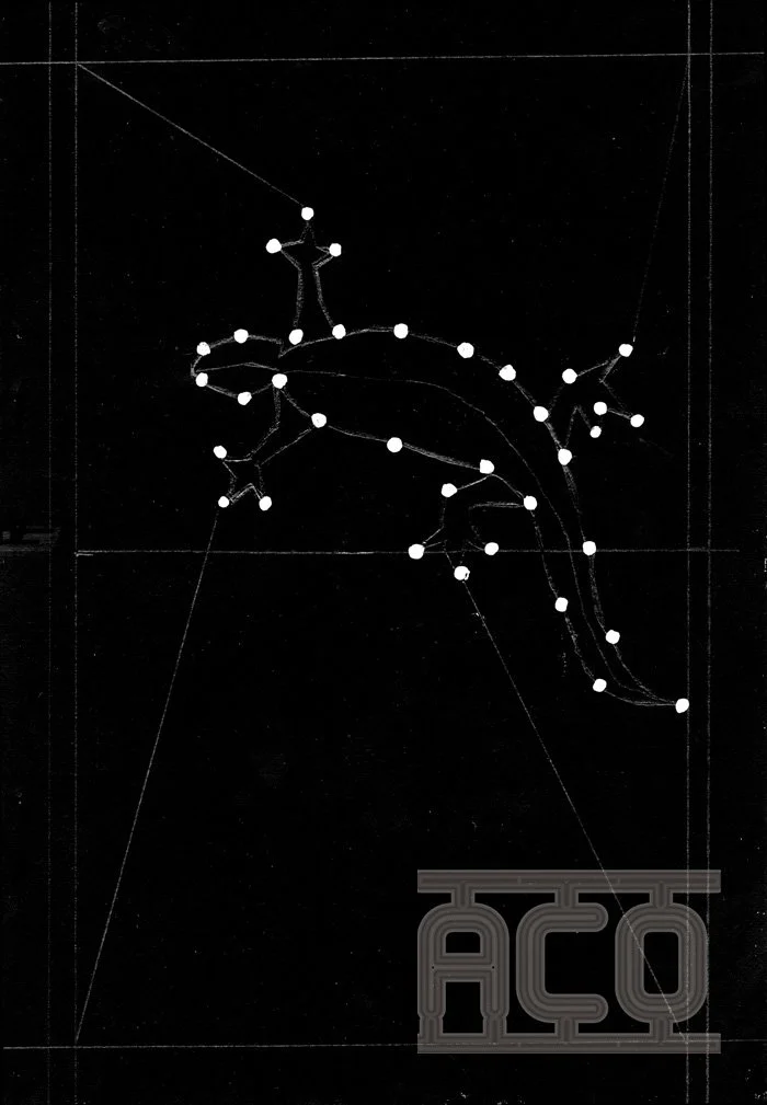 fil lezarde-cosmique.jpg